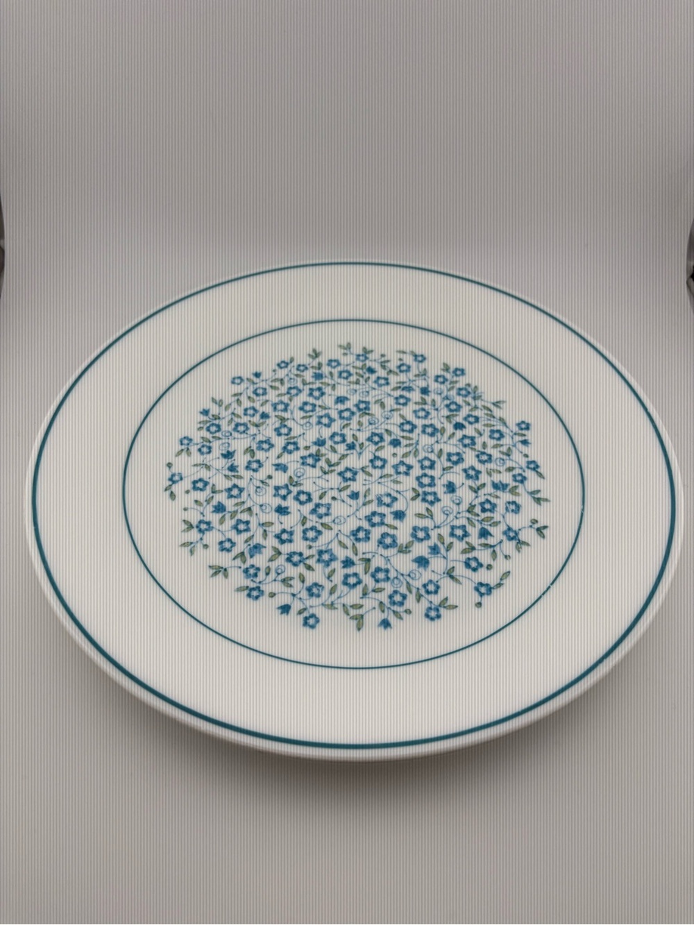 Vintage Corelle Blue Heather Dinner Plates Set of 2